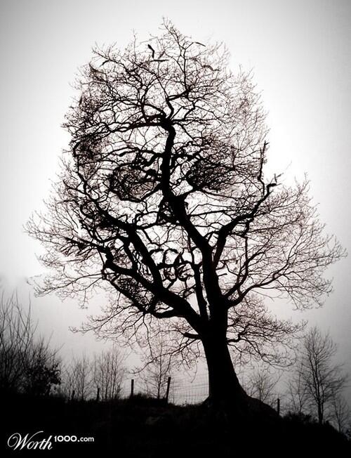 TimedPic's tweet photo. Retweet if you see it http://t.co/hwL2T9hpQr