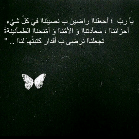 nadooo8808's tweet photo. http://t.co/fvjXx8z7O4