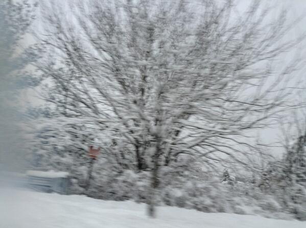 Was looking through pictures and remembered this.

I said, this is fucking april