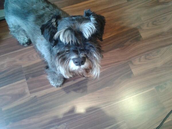 Little Rituals tweet media