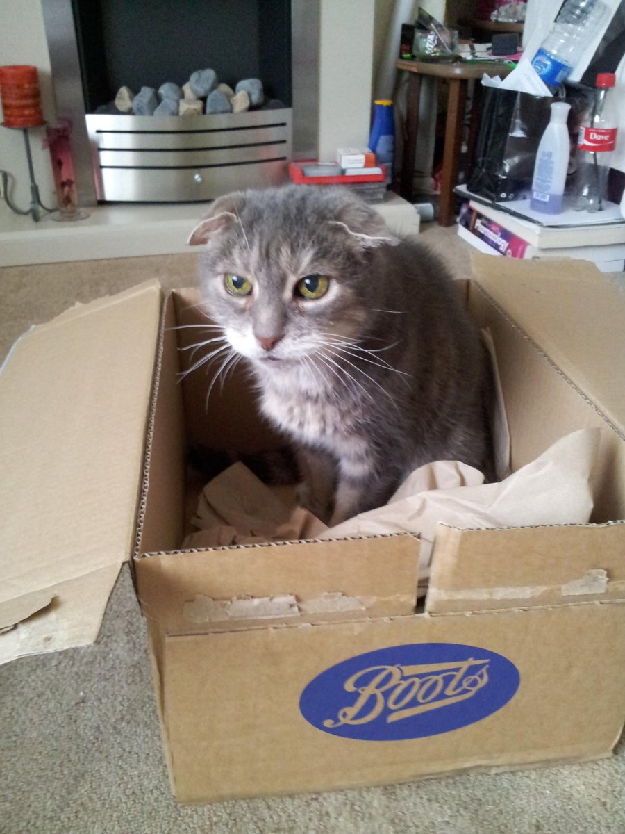 JakeTheOapCat's tweet photo. And my favourite book is.... Puss In Boots http://t.co/I0HkBo9KQY