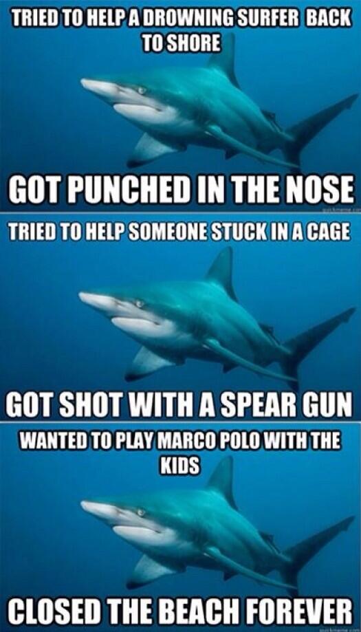 russycakes's tweet image. Shark week, baaaaabyyyyy! #sharkweek #obsessed #favoriteweek #itsabadweektobeaseal