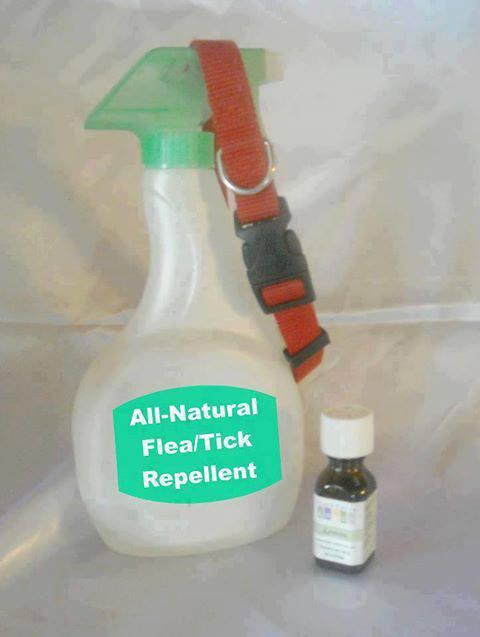 NeilEwart's tweet image. 