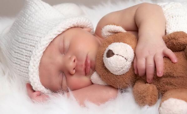 _cutestbabies's tweet photo. Little Teddy. http://t.co/Y3MZhS2rub