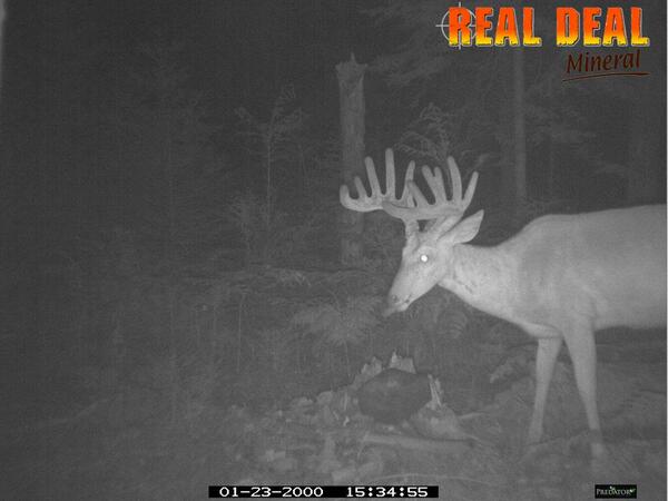 RealDealMineral tweet picture