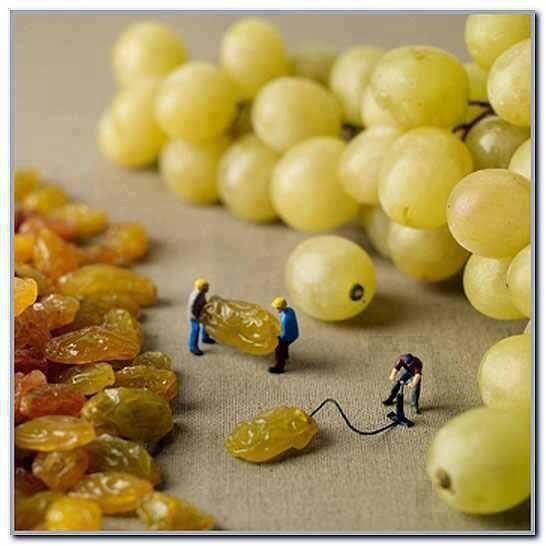 laura1998's tweet photo. @GCSEphotography I found this picture and I thought that it was pretty awesome! ;D http://t.co/ZOjjz9OUHX