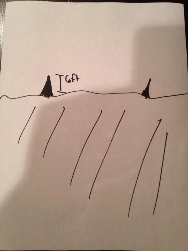 kate_celine's tweet photo. took this at the beach. indisputable evidence of #megalodon http://t.co/8cO4m3BLFP