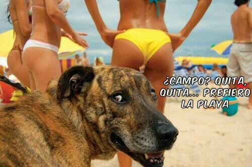 Vianaracing's tweet photo. Ya lo creooo.... http://t.co/aFIsjyvXrH