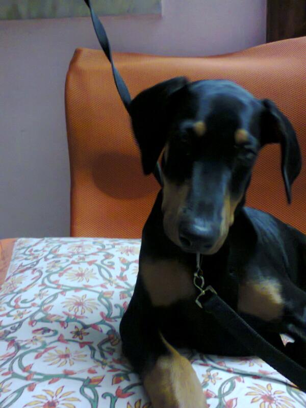 vasulovesu's tweet photo. http://t.co/RULH04ejdu