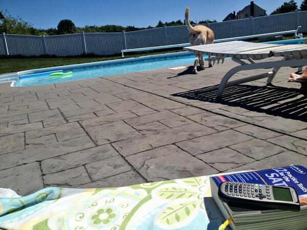 just_sofi_here's tweet image. Poolside SATs #studysolutions #ilovethecollegeprocess