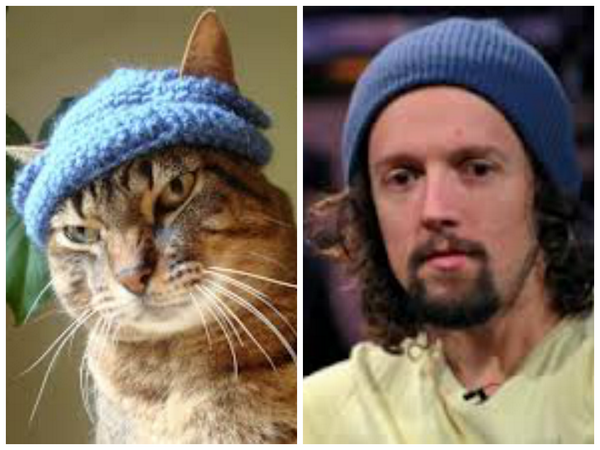 Cozy_Cariama's tweet photo. Because it's a thing #catswholooklikemraz @theRKOP #Mrazians are the best http://t.co/yY7r2oTxgF