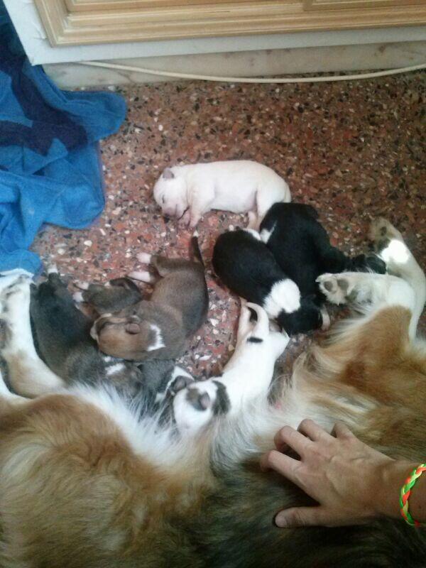 themimisfive's tweet photo. Si alguien quiere alguno que contacte con nosotras http://t.co/5g1L9xJG4K