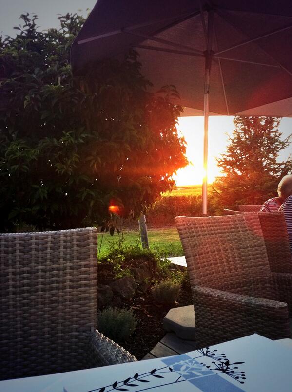 Paula Redes Sidore tweet media