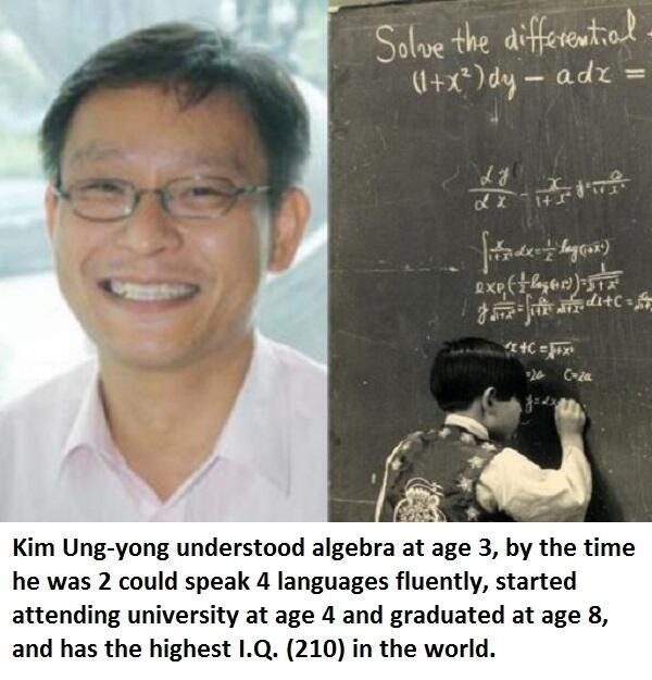 Highest Iq Ever Recorded 2024 Fran Maggie
