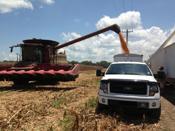 JPVanMol's tweet image. Good way to kickoff the week! #cornplot @PioneerSouthern