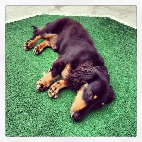 muttleycrewsf tweet media