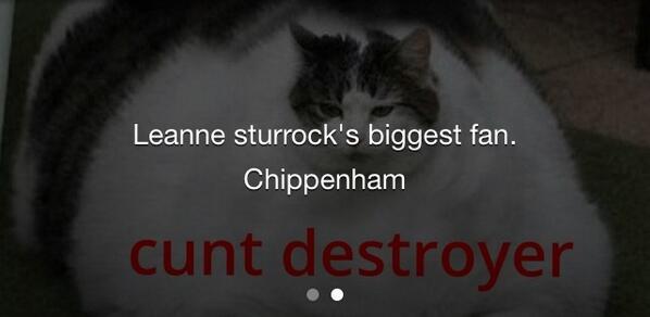 leannesturrock's tweet image. Howling at @Carrielouisee&apos;s profile. Just gets better and better #fccd