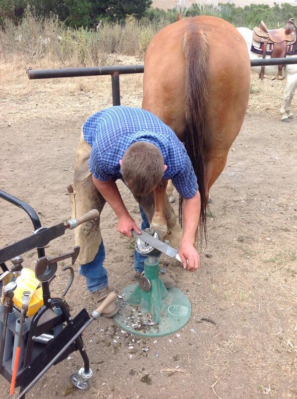 OutbackTR's tweet photo. Always something to see on the ranch! http://t.co/998GJwFmDb
