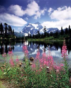 DgCodute's tweet image. Bellingham, Washington Most serene &amp;amp; peaceful place on earth... My soul rested &amp;amp; my spirit restored... Thku