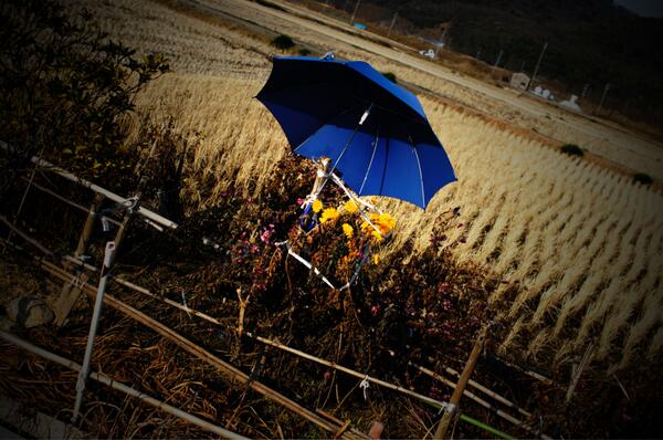 MobilebilityiOS's tweet image. Testing TweetSheets #ImageFilter @MobilebilityiOS mobilebility.com/imagefilter