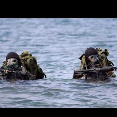 thereal61_'s tweet image. @brady_patterson I will hunt you down... #lastoption