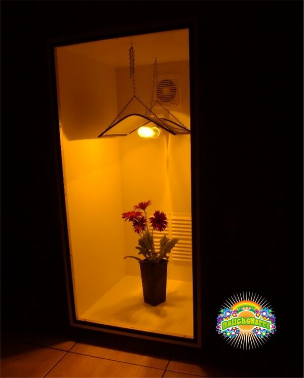 BolicheHappy's tweet photo. OFERTAZO Indoor #autocultivo 70w completo, llegar y enchufar $120.000.- GRATIS Manual de cultivo y despacho (stgo.) http://t.co/JUkjftoi02