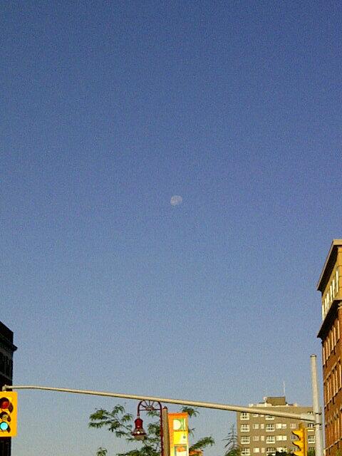 "Moon's out guns out" (doesn't really have the same ring to it)