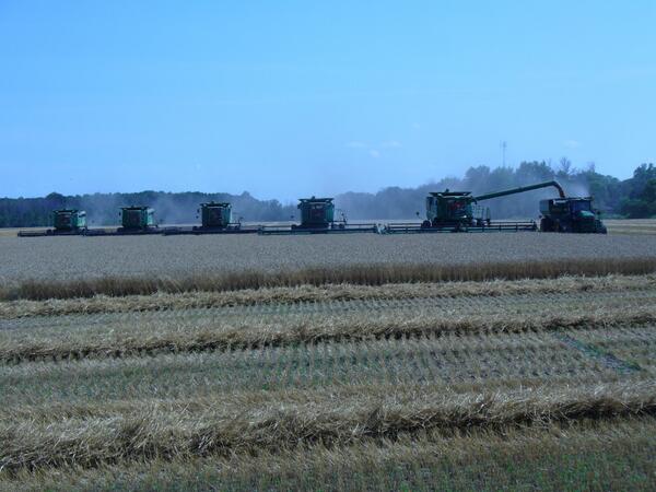 well let's see if we can finish #wheat #Harvest13 today