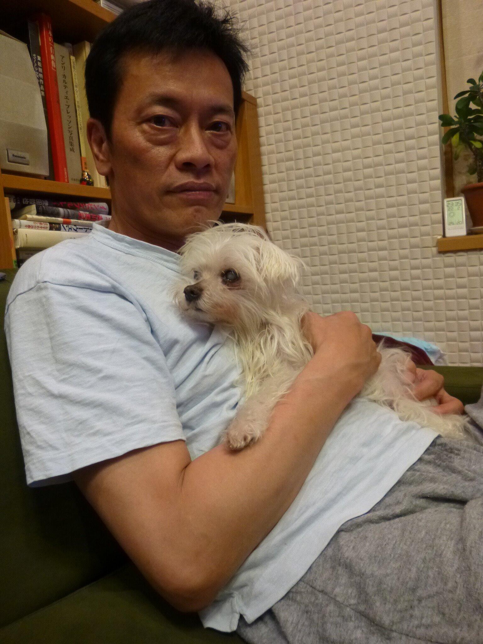 遠藤憲一公式 愛犬まめが16歳になりました 9歳で血小板が減る病気 10歳で脊髄炎になり下半身にマヒが残り 14歳で心臓疾患 高齢で見えないし聞こえない世界だけど 一生懸命甘えてきます Http T Co 5lig8e3nku 遠藤憲一公式 愛犬まめが16歳になりました 9歳で血小板が減る病気 10歳で脊髄炎になり下半身にマヒが残り 14歳で心臓疾患 高齢で見えないし聞こえない世界だけど 一生懸命甘えてきます Http T Co 5lig8e3nku