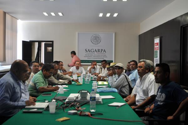 DelegGroSAGA's tweet photo. Reunidos con el CECAFE analizamos propuestas que permitan impulsar y fortalecer la cadena productiva.@VHCelayaCelaya http://t.co/oGiq5vC6Jx