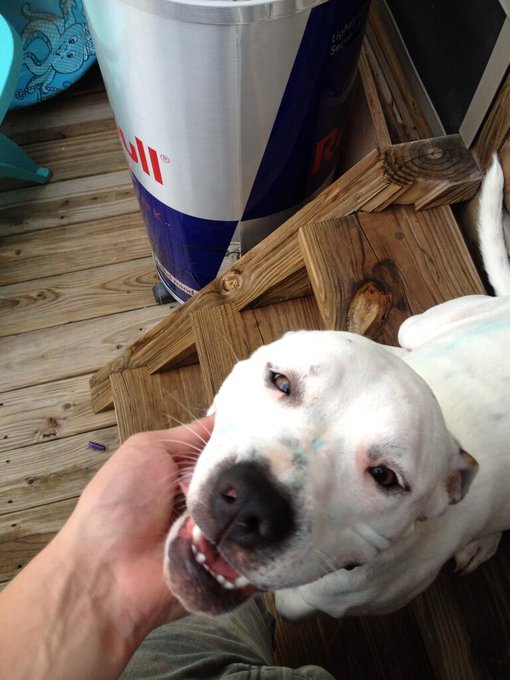 That's my babygirl 😍 http://t.co/xElSRSCIi7