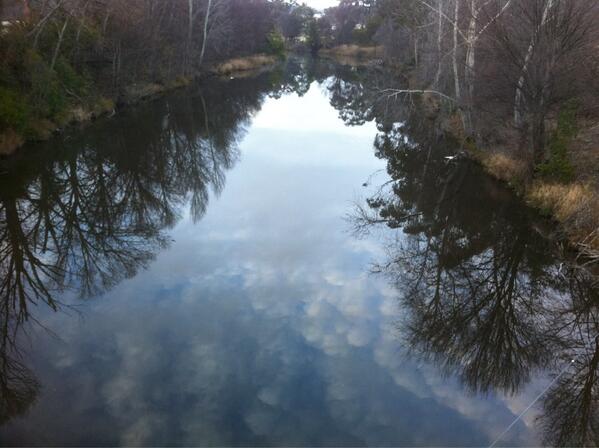 Perfect morning for platypus spotting in Queanbeyan river near suspension bridge. <a href="/canberratimes/">Canberra Times</a> #millpond