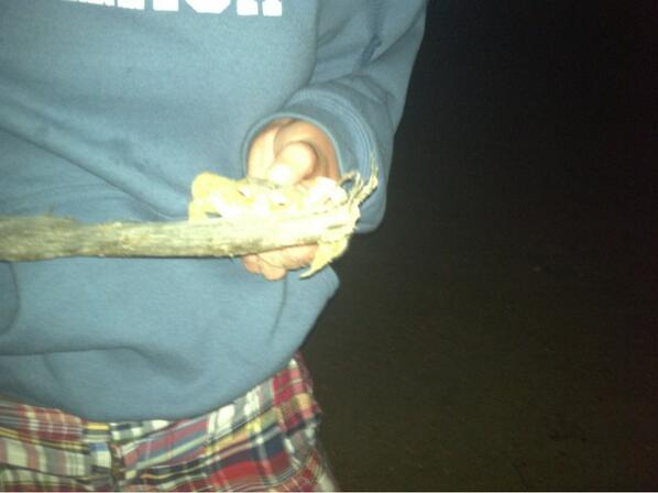NancyKren's tweet photo. I caught a crab on vacation!! http://t.co/oBeVuoKvrA