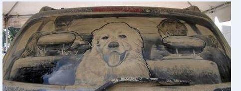 CaloundraAutos's tweet photo. #‎DirtyCar window? Turn it into art! http://t.co/VRsA2AdqlK
