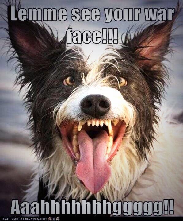 allandonohoe's tweet photo. Lets get through this #finallyfriday http://t.co/sMx7WaAtFO