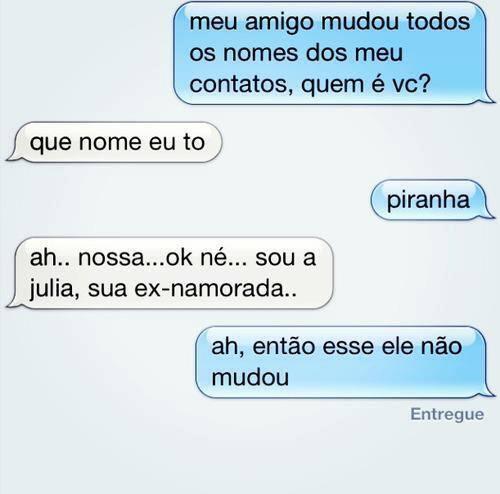 Porquinha tweet media