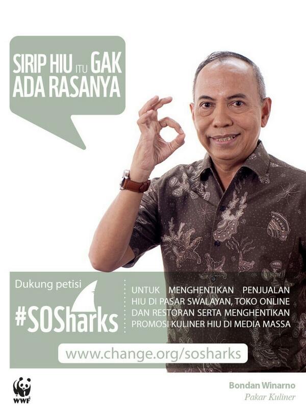 masJu__'s tweet photo. Say NO to Shark fin. Memesan sirip ikan hiu menandakan kamu berkelas. Kelas masyarakat tidak punya hati. #SOSharks http://t.co/1ZOQal7ZaG
