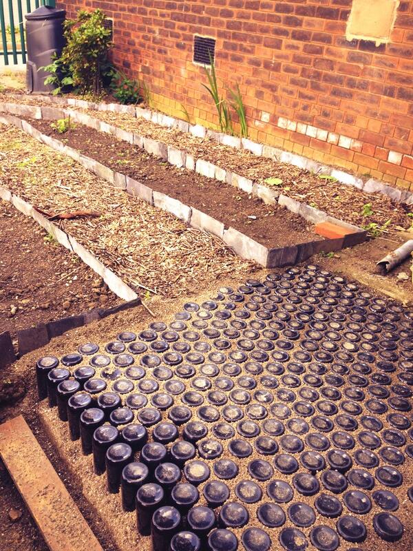 saltburnschool's tweet photo. The @BlackSheepBeer bottle path has begun in the herb garden! http://t.co/L22YyHz61I