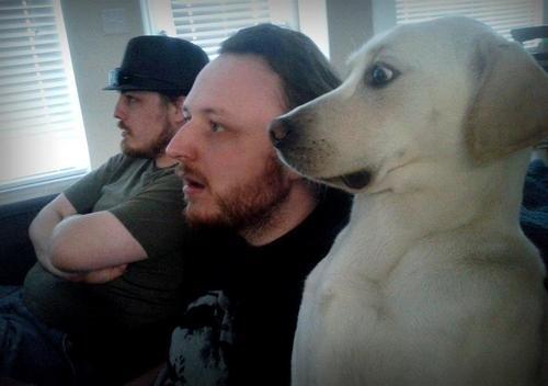 Muttons In The Morning tweet media