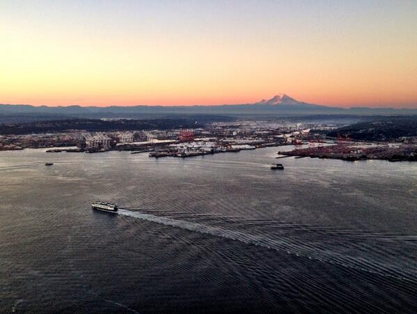 Benedict's Cat tweet media