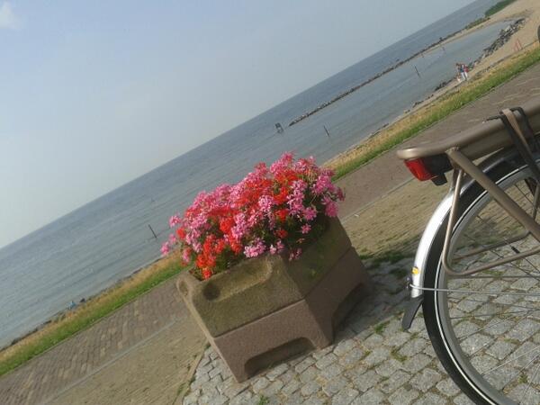 mieke (@mieke52164694) on Twitter photo 