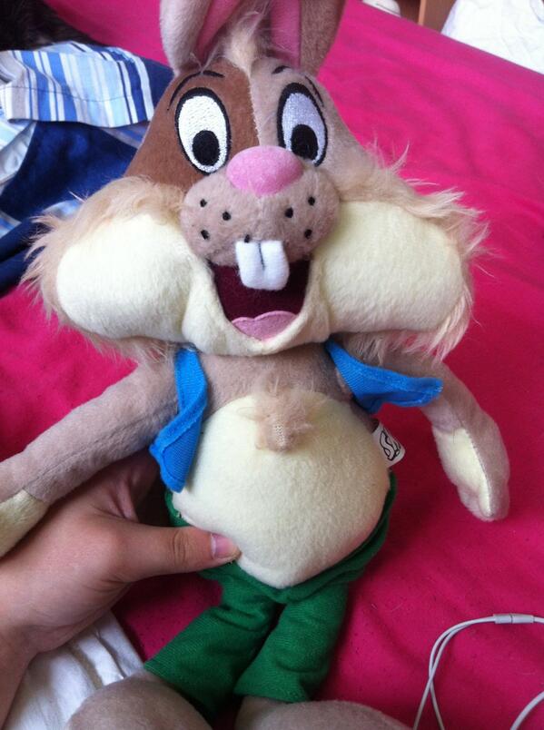 Sparky the rabbit (@sparky_rabbit) / Posts / X