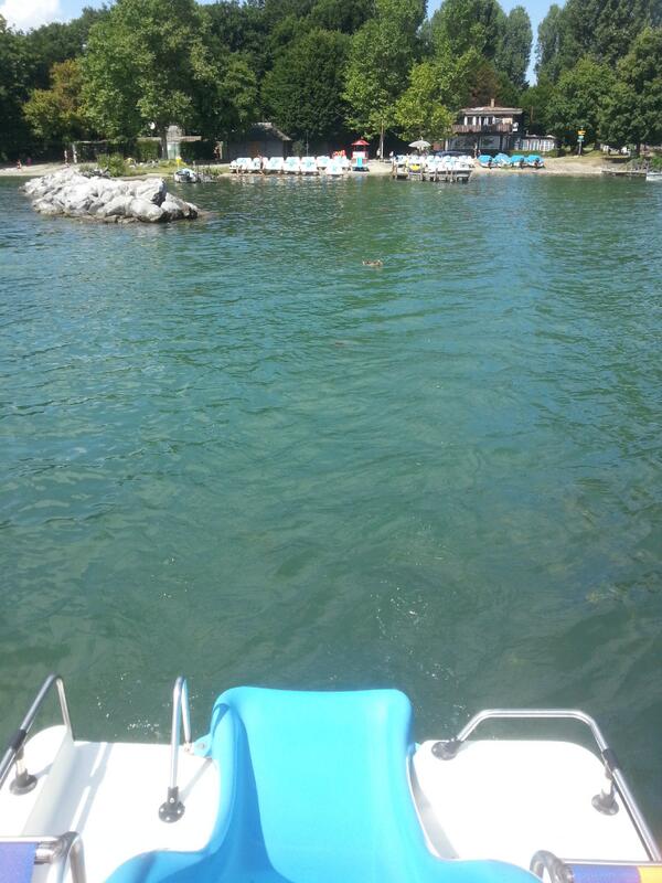 Fondation Etoile Filante At Filanteetoile Twitter