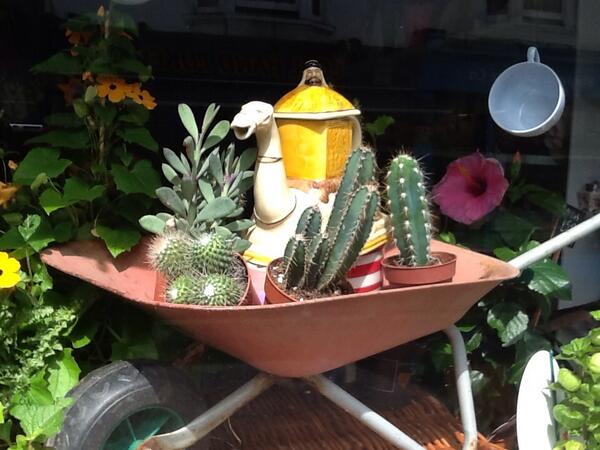 FloristBrighton's tweet photo. Hot stuff! http://t.co/ZKMphMU44P