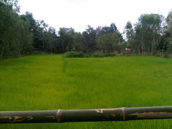 MaxPongdanai's tweet photo. Such a nice view from my hometown in Thailand. http://t.co/Gq5qM0fagr