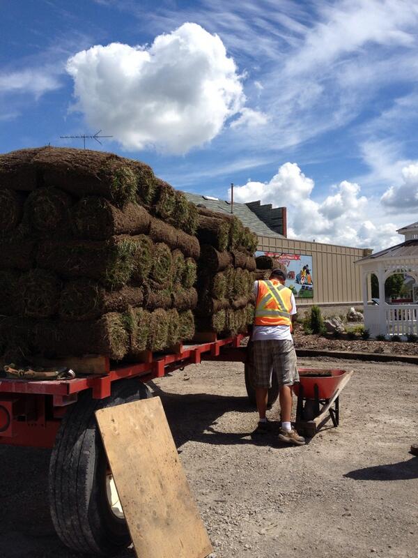 TDRproject's tweet photo. Today is grass day! http://t.co/4CCLG0vGsN