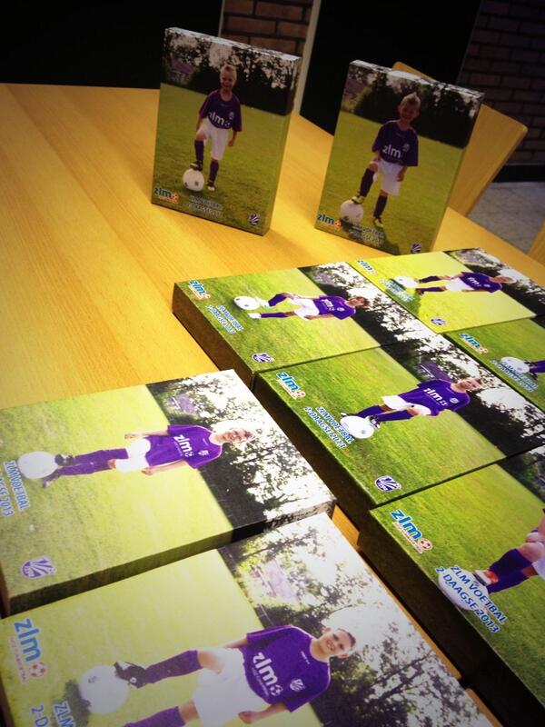 funvoetbal's tweet image. Waren twee leuke dagen @VVVogelwaarde &amp;amp; ook hier waren de #plusboards van @Canbeter een succes! #ZLM #Voetbal2daagse