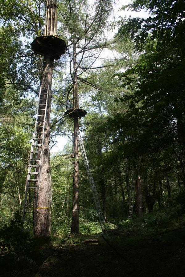 Ya han comenzado las obras del parque, después de tantos retrasos ya podemos decir que estamos en marcha