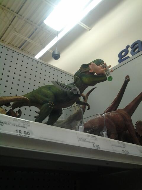 DollyCucumber's tweet photo. Found this at meijer... Sad that @LisaFolkmire and my favorite animal is the pig. #poorpiggy #NomNomNom http://t.co/PcbopsrPNW