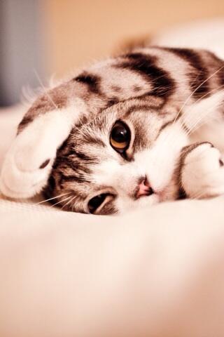 ff78ff's tweet image. 